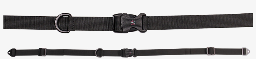2 Point Non-padded - Strap, transparent png download