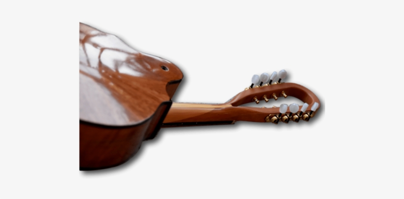 Radiant Instrument Necks And Neck Joins - Neck, transparent png download