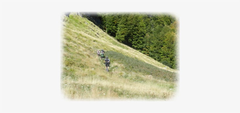Monte Tambura, transparent png download