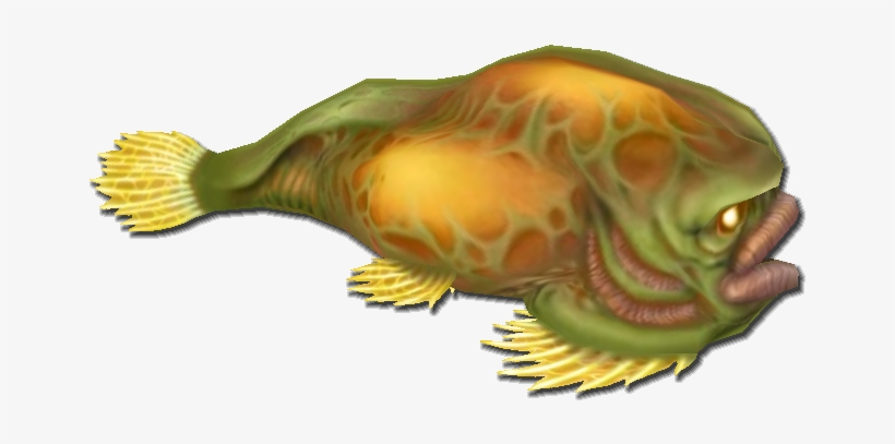 Fish 3 - Wiki, transparent png download