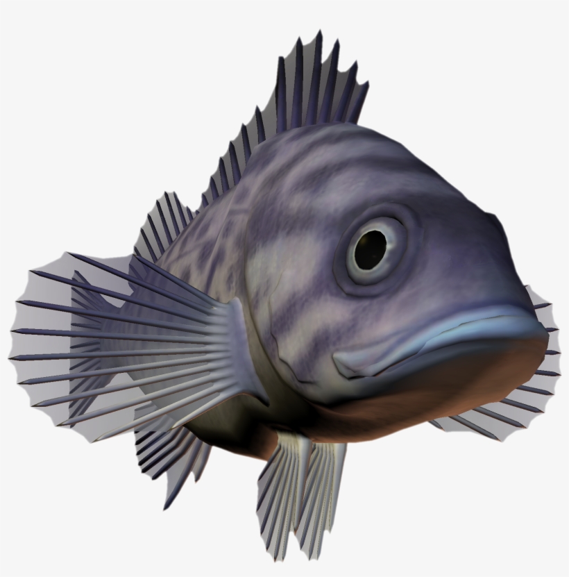 Ocean Fish Png Download - Deep Sea Creatures Png, transparent png download
