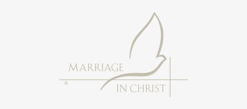 Marriage In Christ - Archdiocese Of Saint Paul & Minneapolis - Chancery, transparent png download
