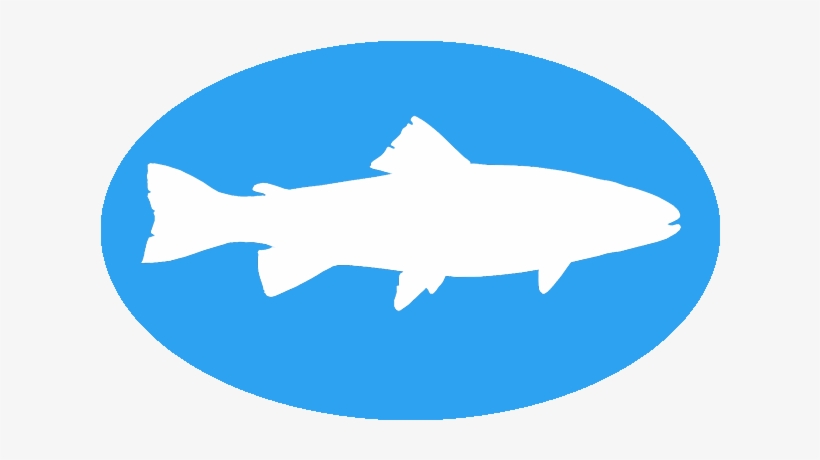 Fish On - Fishing, transparent png download
