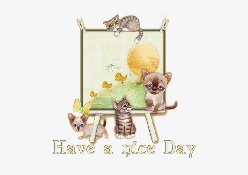Y - Cat, transparent png download