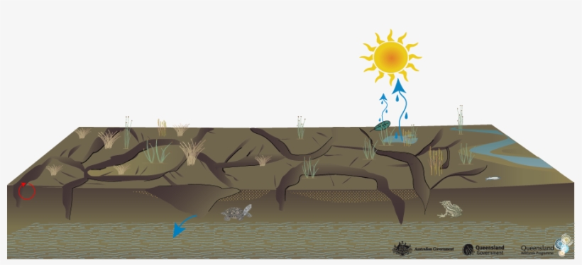 Click On Elements Of The Model Or Select From The Tabs - Illustration, transparent png download