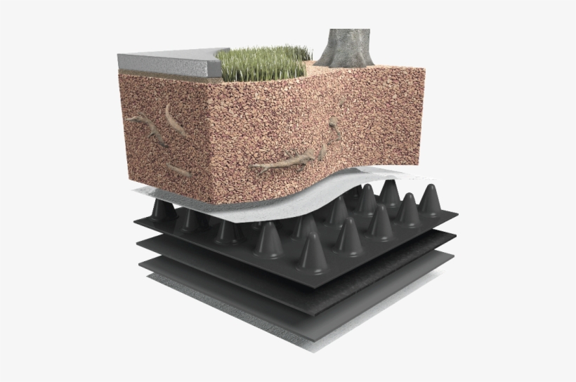 Intensive Green Roof Systems, transparent png download