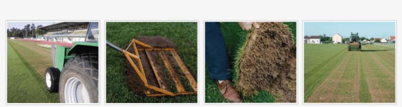 Ready To Use Topdressing For Lawn - Paddy Field, transparent png download