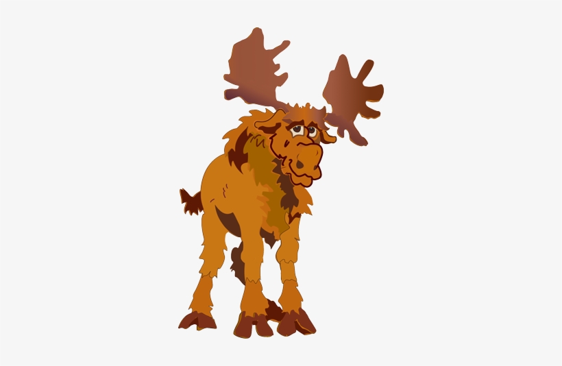 Moose Portrait, transparent png download