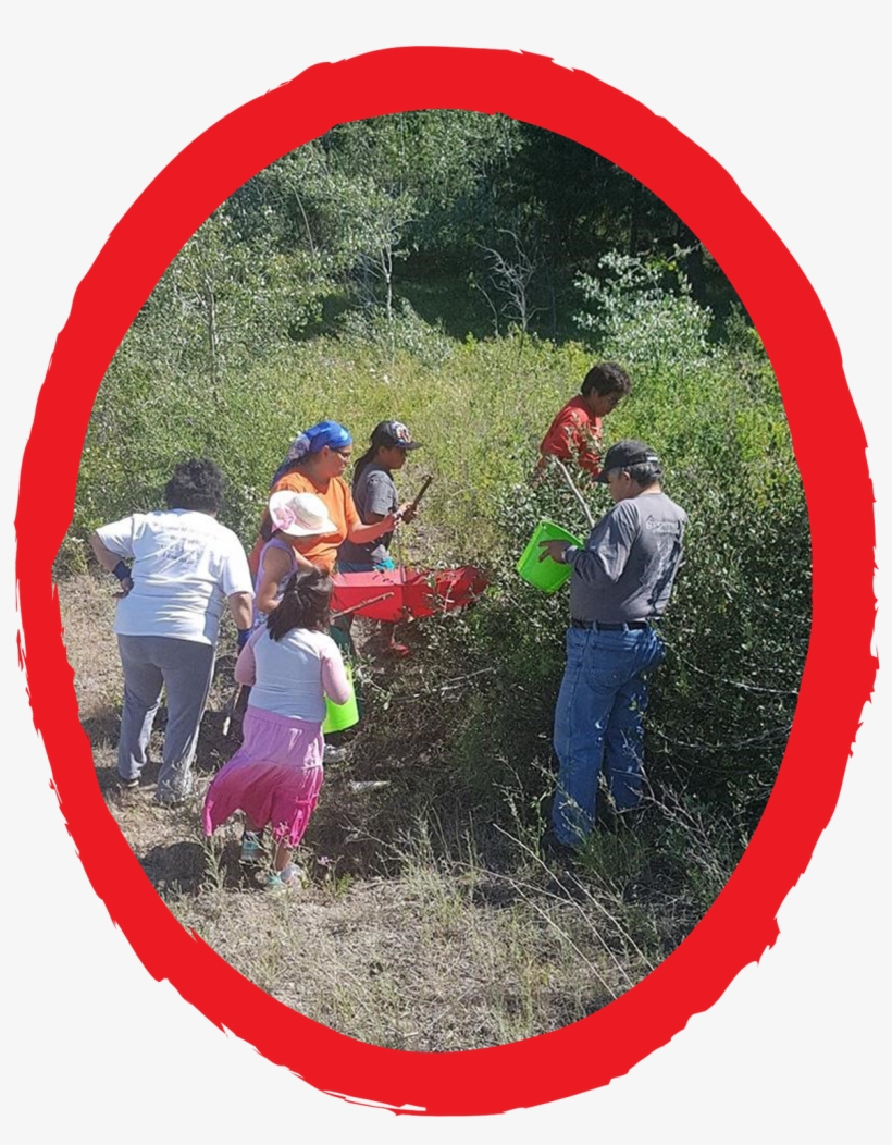 Upper Nicola Indian Band - Upper Nicola Band, transparent png download