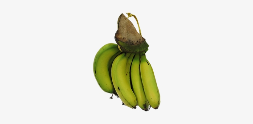 Banana, transparent png download