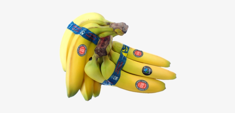 Equifruit Is The Canadian Market Leader In Fairtrade - Equifruit Bananas, transparent png download