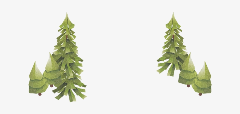 Christmas Tree, transparent png download