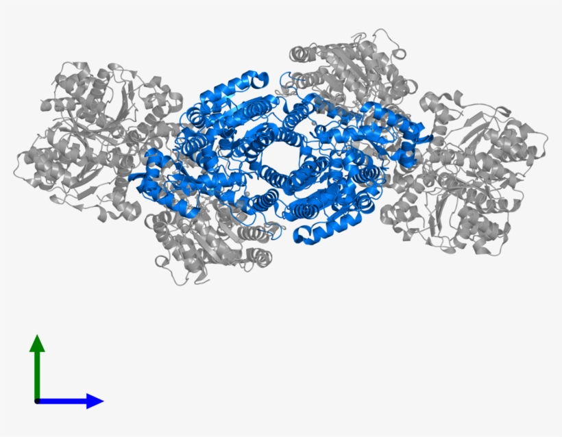 <div Class='caption-body'>pdb Entry 1g20 Contains 2 - Protein Data Bank, transparent png download