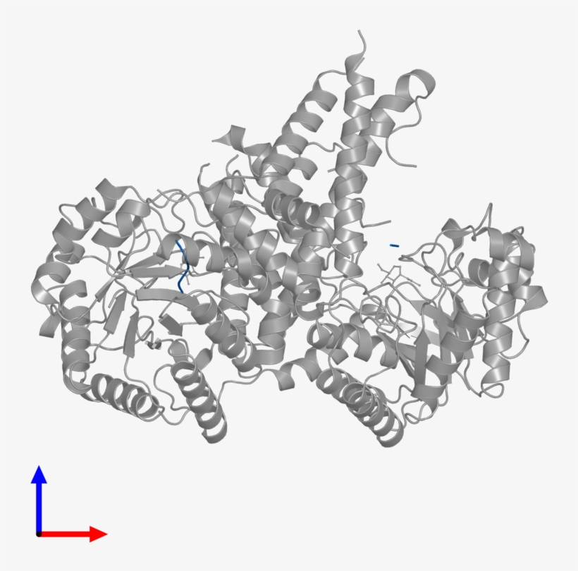 <div Class='caption-body'>pdb Entry 5vvv Contains 2 - Portable Network Graphics, transparent png download