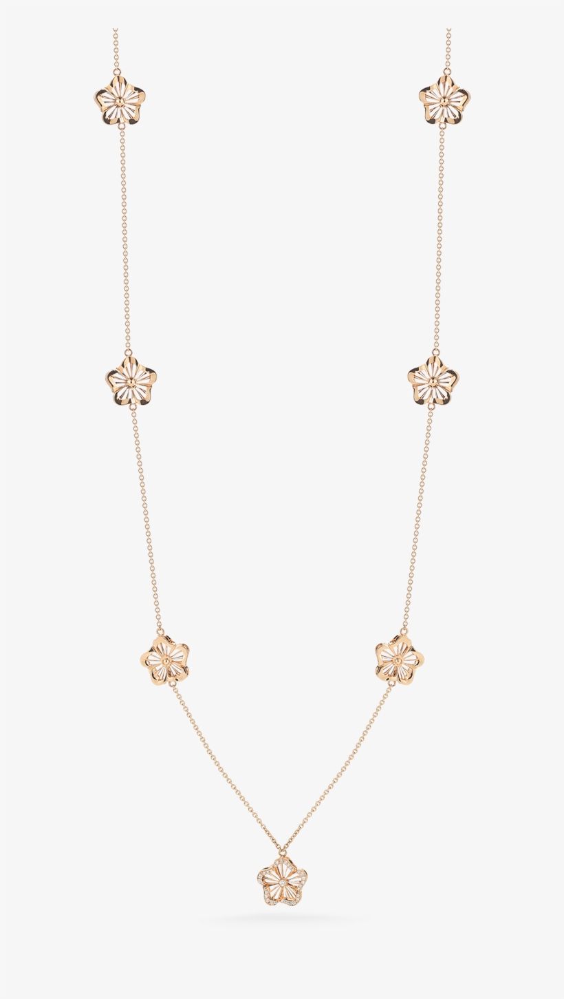 Roberto Coin Necklace - Transparent Rose Gold Necklace, transparent png download
