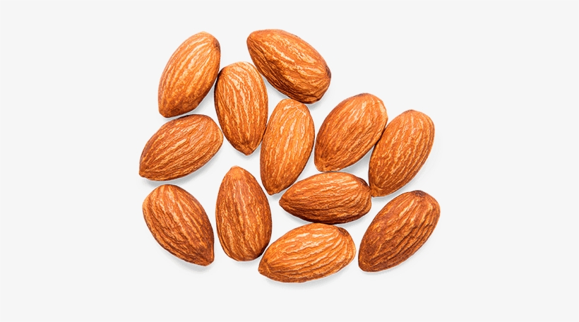 Almond Png - Almond, transparent png download