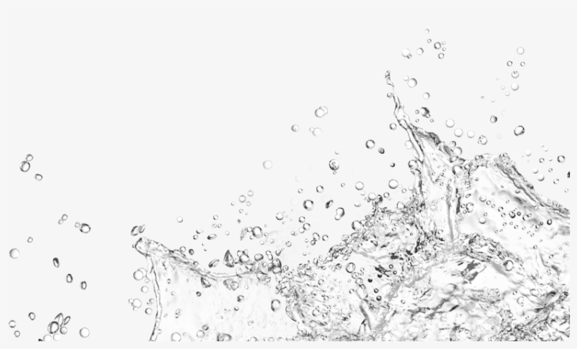 Brands - Monochrome, transparent png download
