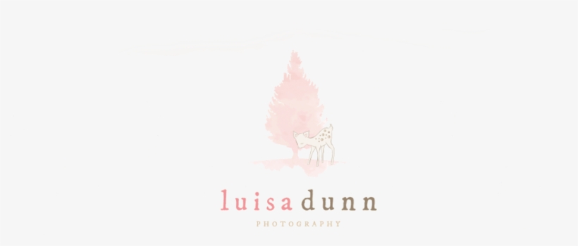 Luisa Dunn Photography - Christmas Tree, transparent png download