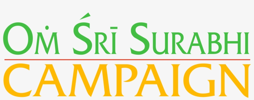 Transparent File - Tan, transparent png download