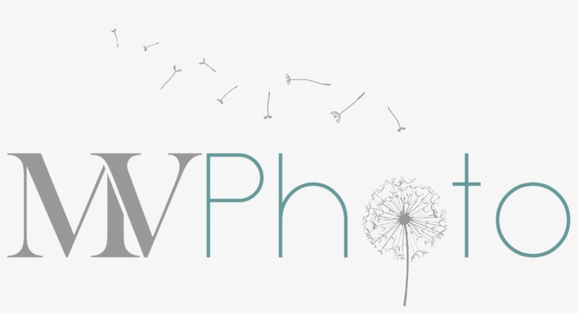 Markus Voetter Photography Galway - Wedding, transparent png download