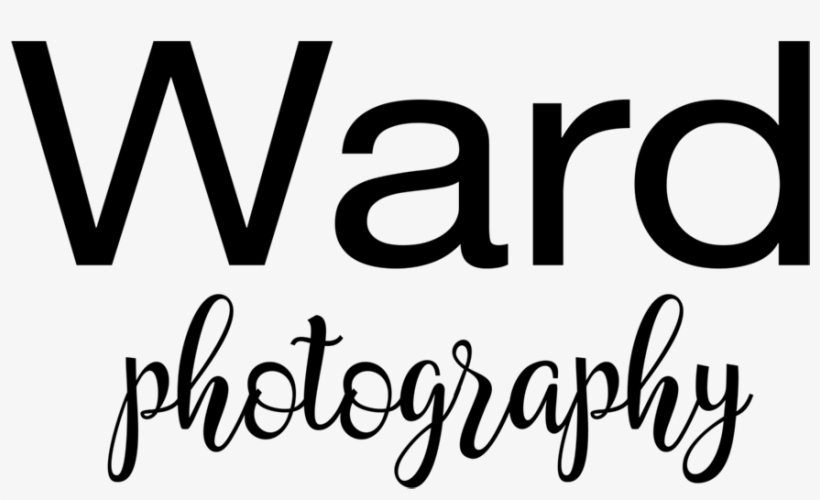 Rent This Photo Booth - Cardiologs Logo, transparent png download