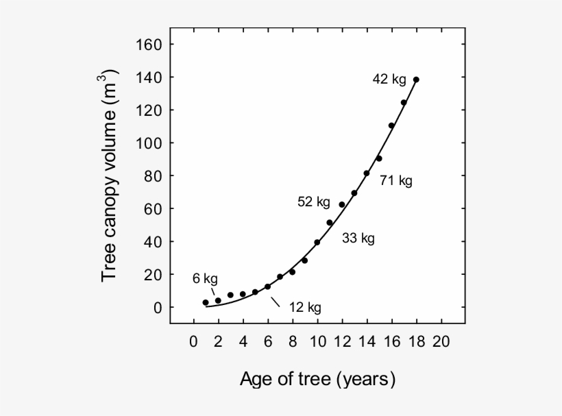 Changes In Tree Canopy Volume In 'alphonso' Mango Grown - Diagram, transparent png download