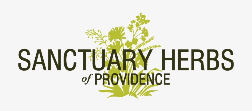 Logo - Vacheron Constantin Logo Vector, transparent png download