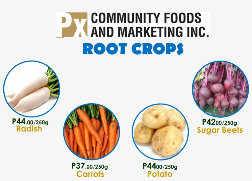 Organic Root Crops - Amoretti Potato Extract Water Soluble - 2oz, transparent png download