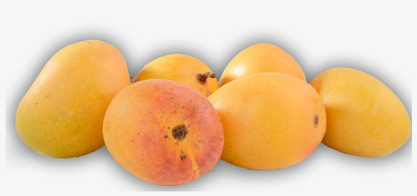 Alphonso Mangoes - Alphonso, transparent png download