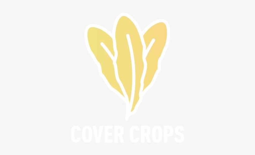 Cover - Beautiful Crazy, transparent png download