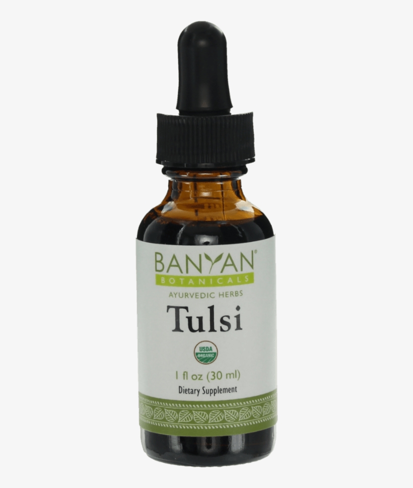 2621 Tulsi Org Xlarge - Banyan Botanicals - Organic Triphala Liquid Extract, transparent png download