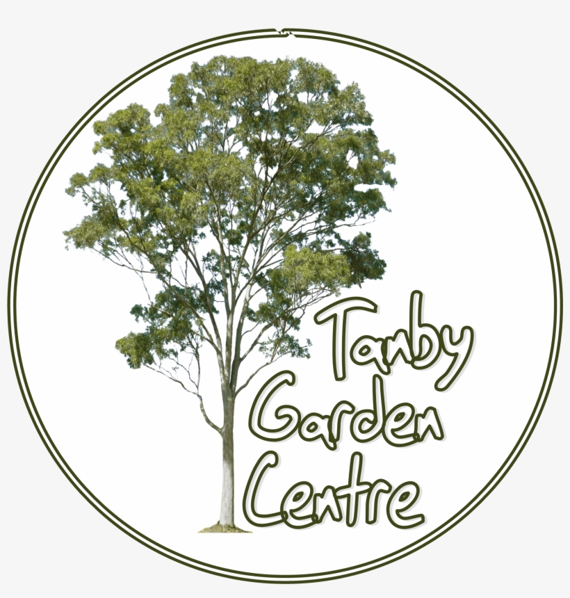 Tanby Garden Centre The Capricorn Coast Nursery And - Tanby Garden Centre, transparent png download