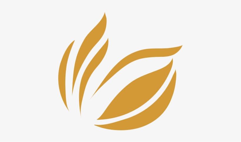 Who We Are - Embroidery, transparent png download