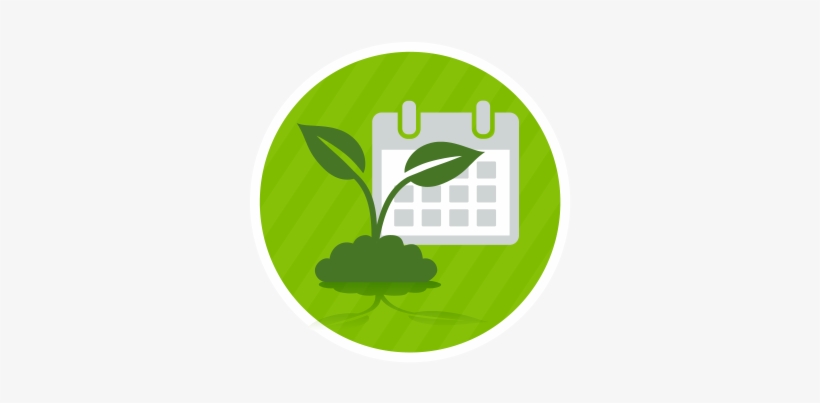 Earlier Seeding - Icon, transparent png download