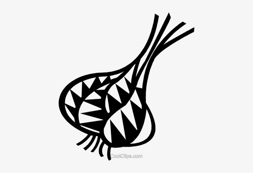 Onions Royalty Free Vector Clip Art Illustration - Line Art, transparent png download