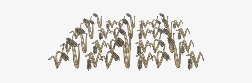 Crop A - Military Aircraft, transparent png download