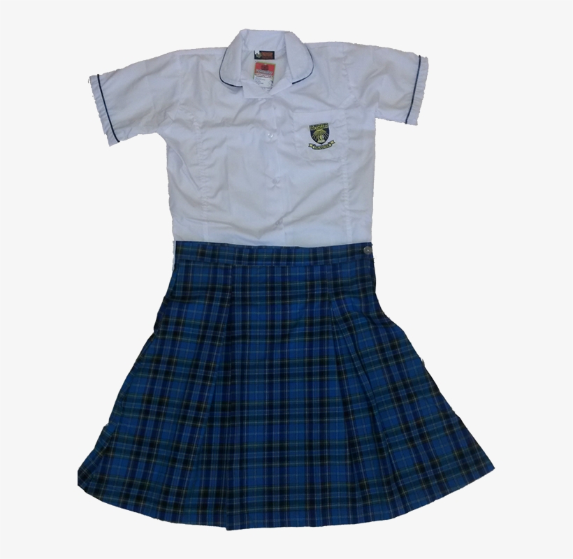 Dress1 - Plaid, transparent png download