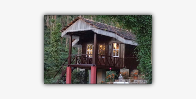 Wooden Cottage - Jungle Greens Chikmagalur Homestay, transparent png download