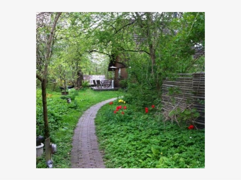 Wooden House On Nature Ground - Backyard, transparent png download