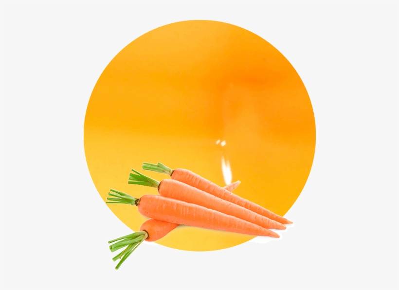 Our Juice Has A Sweet Flavour Of Concentrated Carrots - Just Dont Carrot At All, transparent png download