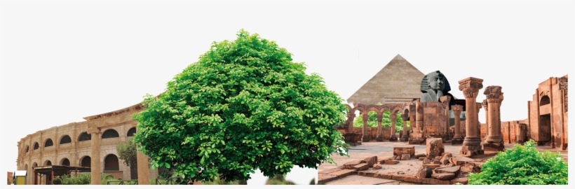 More Fun - Bentley Garden Set Of 3 Tall Rattan Planters - Black, transparent png download