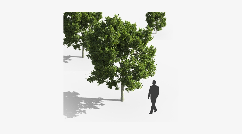 While Highly Detailed Models Are Nice, Their Size Can - Cinema 4d, transparent png download