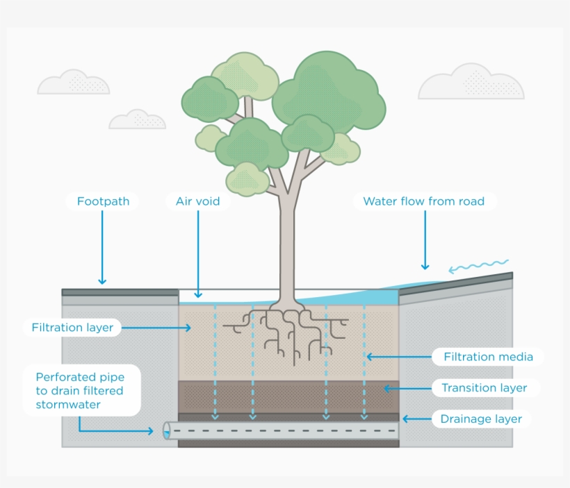 Water Is Diverted From The Gutter An Into The Raingarden - Water Footprint, transparent png download
