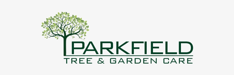 Graphic Design, transparent png download