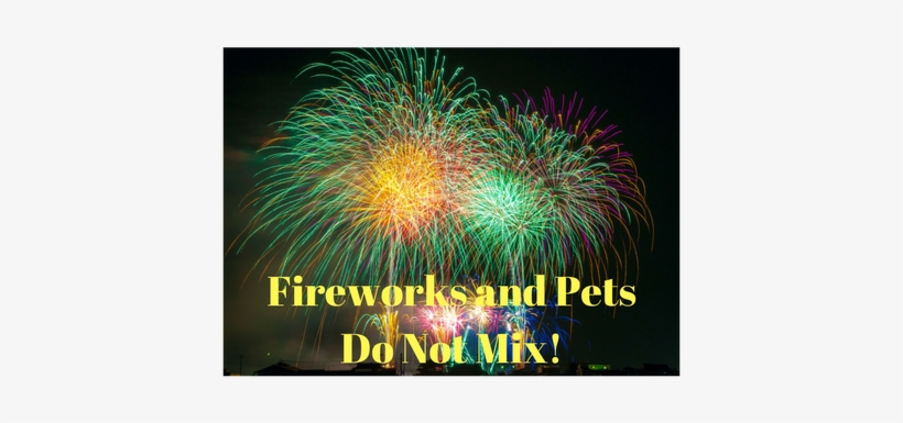 Aspca Fireworks And Lost Dogs Fireworks And Dogs Are - Class Of 2017 Journal (journals, Diary, Notebook), transparent png download