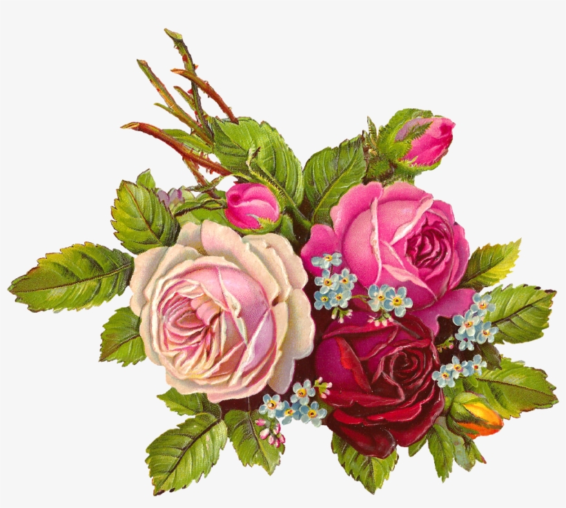 Digital Rose Download - Digital Rose, transparent png download