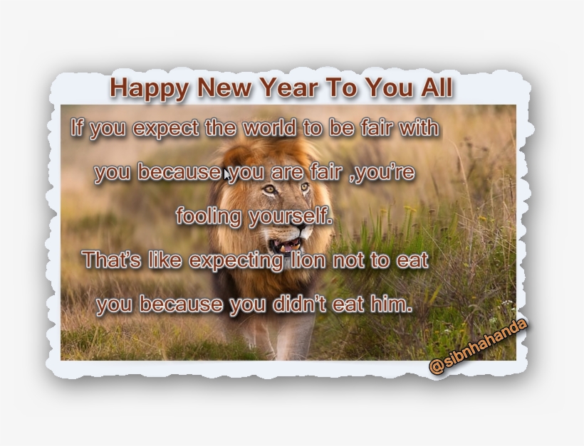 Sinha Handa සිංහ හඬ On Twitter - Picture Frame, transparent png download