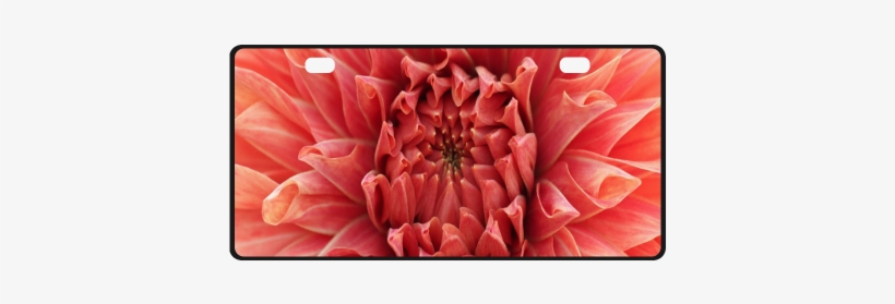 Bright Red Dahlia Flower License Plate - East Urban Home 'dahlia' Graphic Art Print, transparent png download