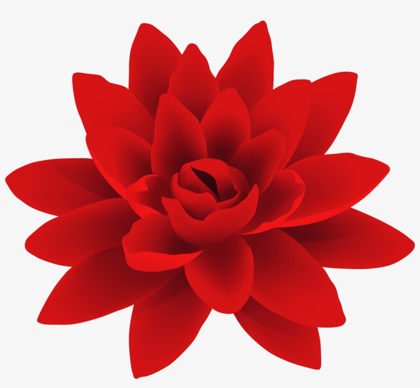 Dahlia Flower Png, transparent png download