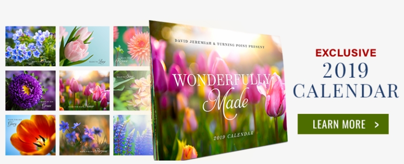 Exclusive 2019 Calendar - Calendar, transparent png download